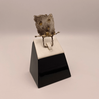 Picture of ring