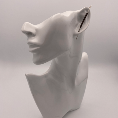 Picture of earing