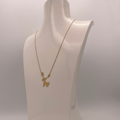 Picture of necklace
