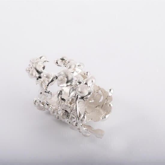 Picture of ring