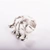 Picture of ring