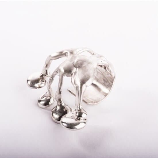 Picture of ring