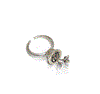 Picture of ring