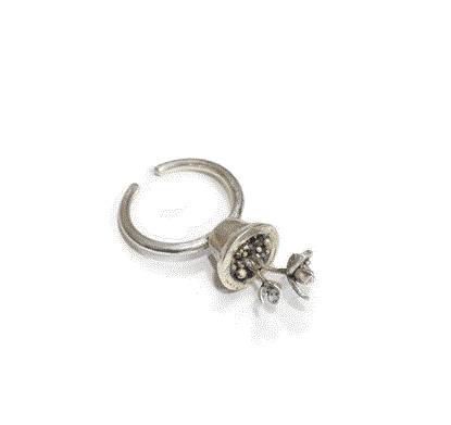 Picture of ring