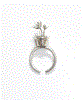 Picture of ring