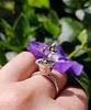 Picture of ring